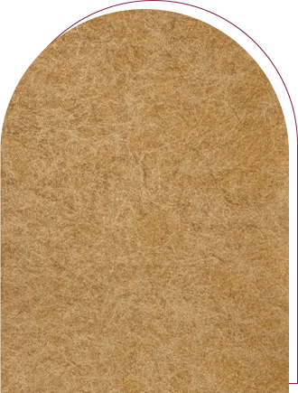 kraft-stock