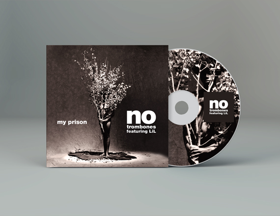 customized cd jackets