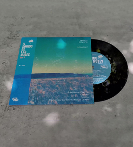 customized vinyl record mailers