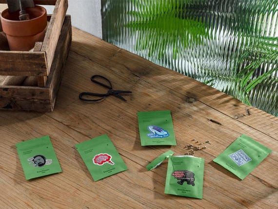 eco friendly cannabis seed boxes