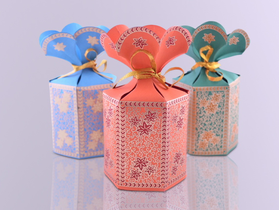 Party Favor Packagiing Boxes