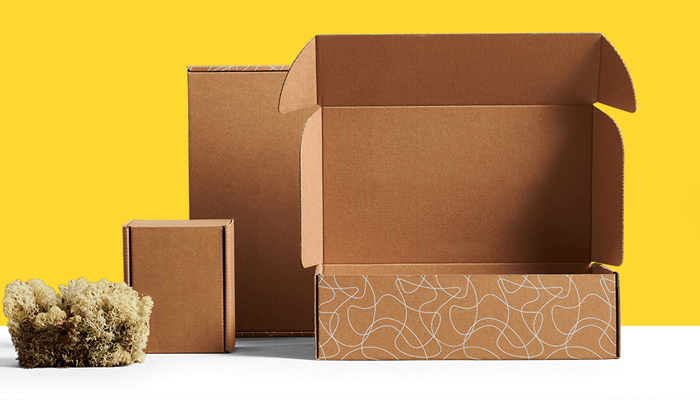 printed mailer boxes