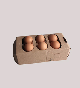 six pack egg cartons