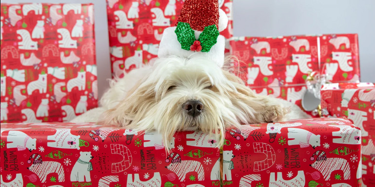 christmas gift boxes for pet lovers