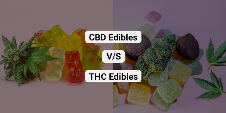 difference between thc and cbd edibles