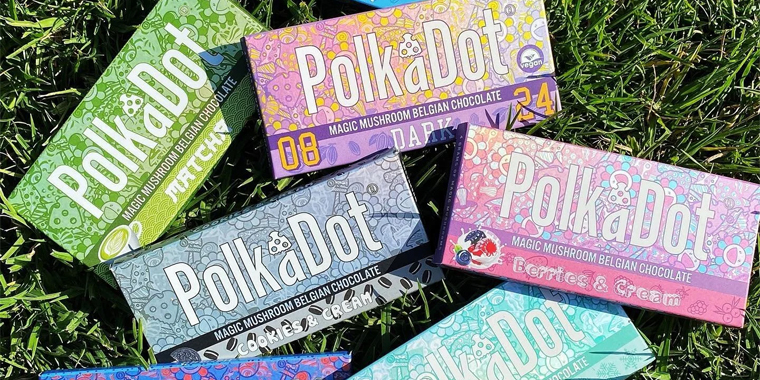 Polkadot Mushroom Packaging Boxes