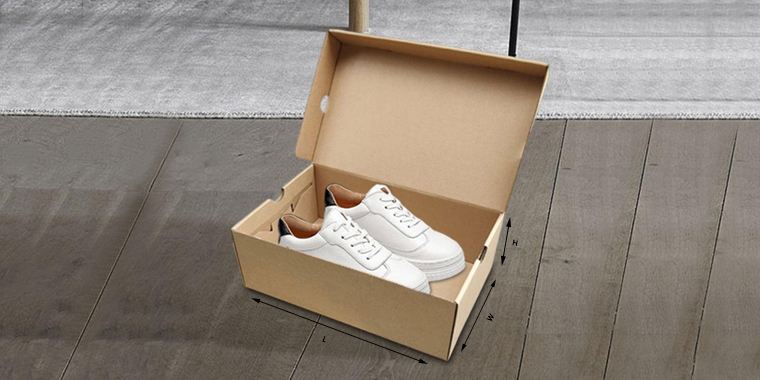 shoe box dimensions for women