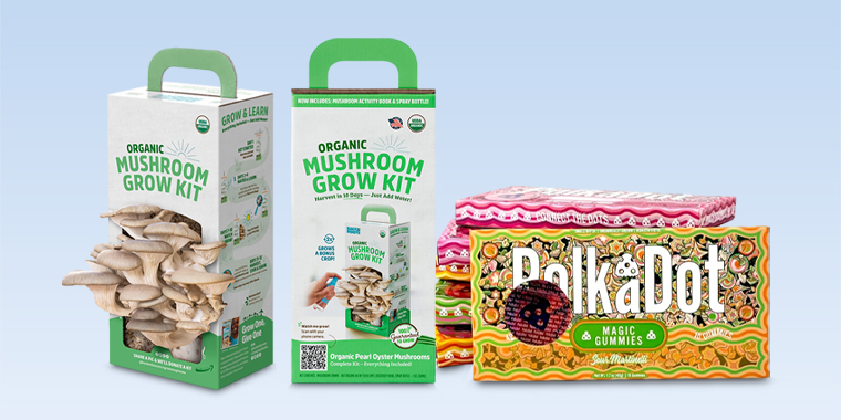 what is polkadot mushroom packaging