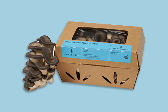 affordable mushroom box