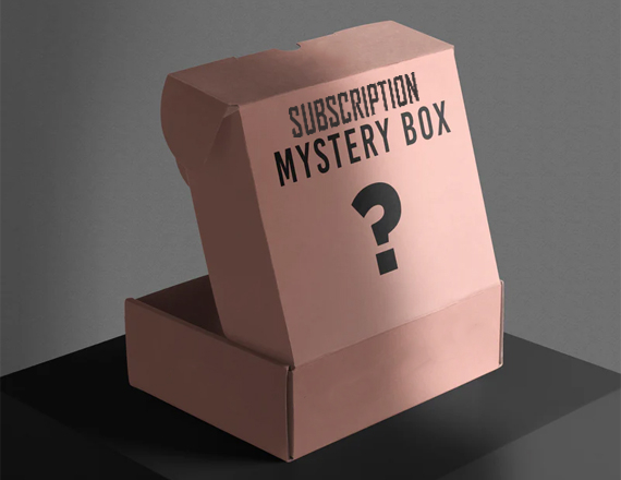 best mystery subscription boxes