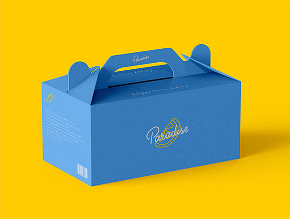 blue gable box packaging