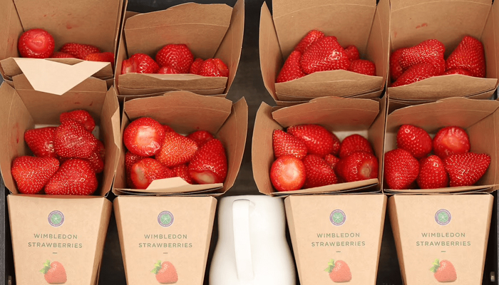 strawberry packaging box