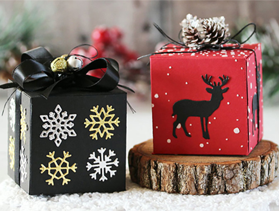 Christmas Packaging boxes