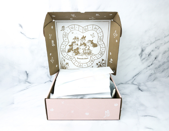 custom disney subscription boxes