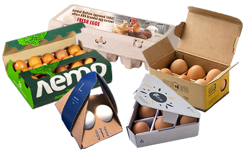 custom egg cartons