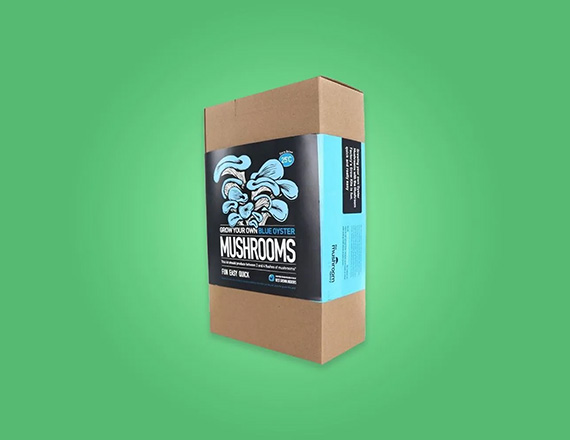 Custom Mushroom Packaging Box