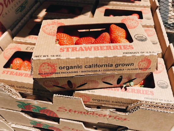 custom strawberry boxes packaging
