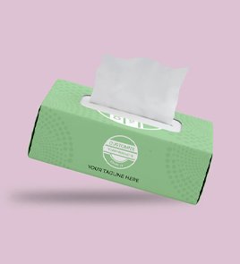 custom tissue boxes