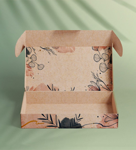 ear lock mailer box packaging