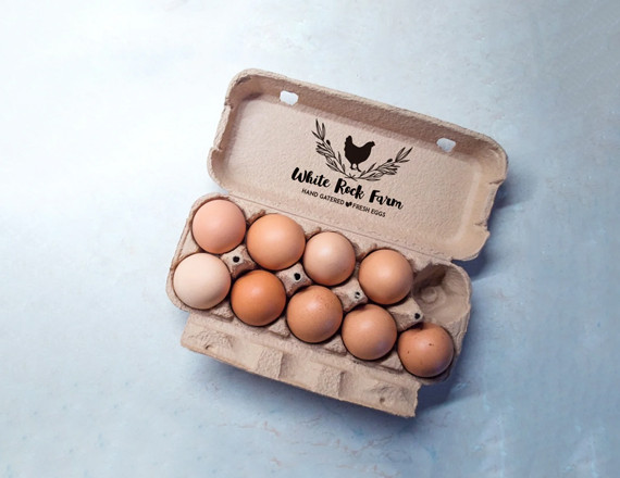 empty egg cartons