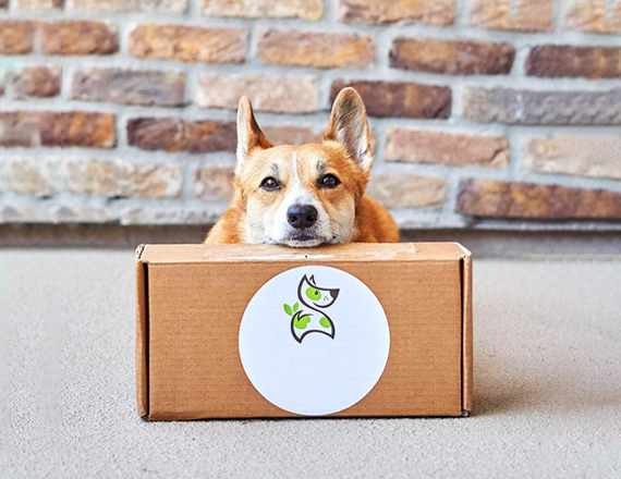 fresh pet food subscription box