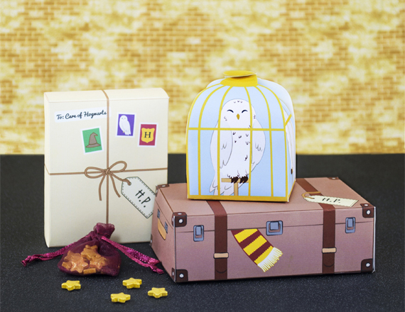 harry potter subscription packaging