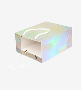 holographic bags back