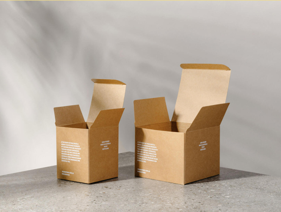 Kraft Tuck Top packaging