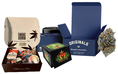 monthly weed boxes wholesale