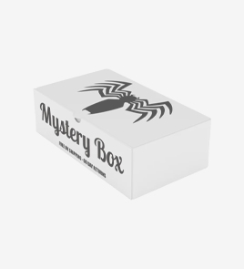 mystery subscription boxes first