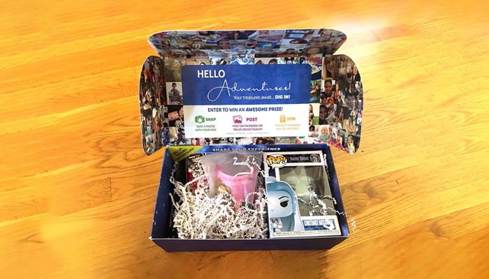 best disney subscription boxes