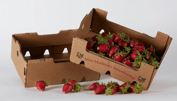 chocolate strawberry boxes