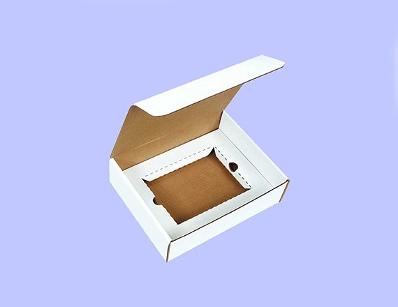 packaging with insert