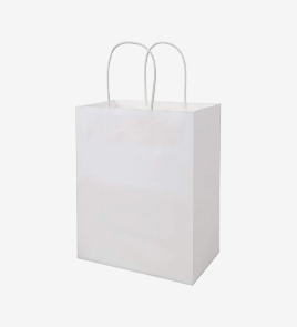 paper bags with handles back