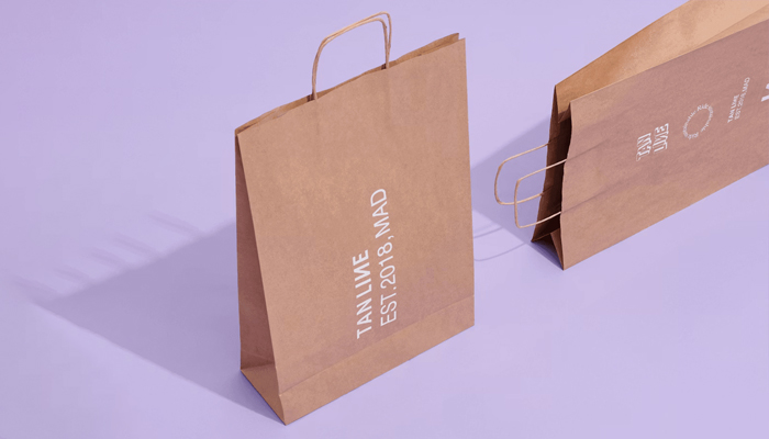 paper gift bags with handles