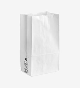 paper grocery bags first