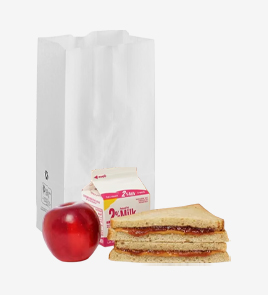 paper lunch bags back