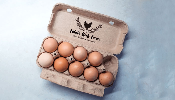 duck egg cartons