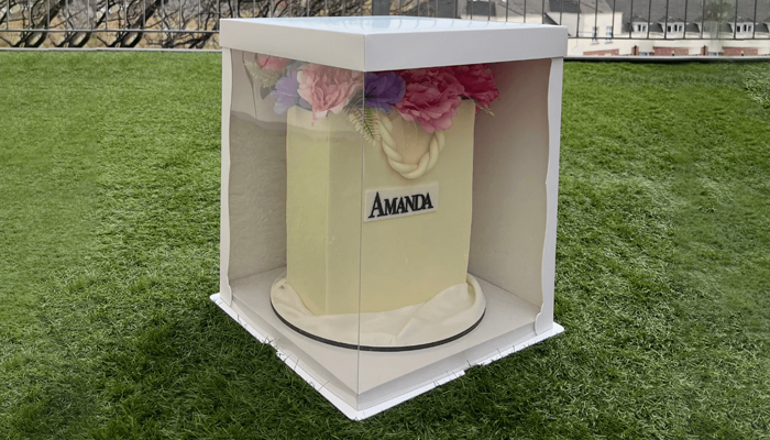 tall cake boxes bulk