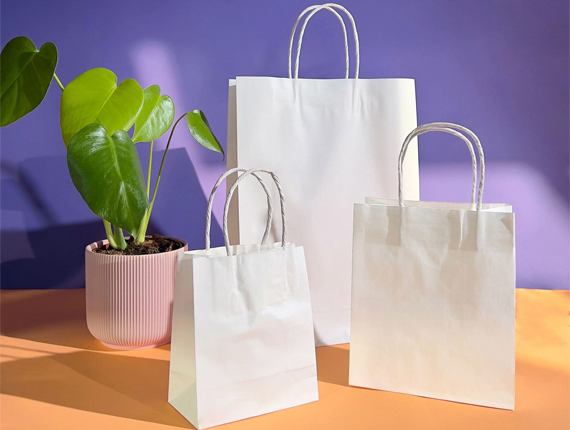 wholesale paper white bags
