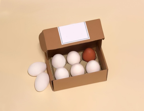 wholesale egg cartons