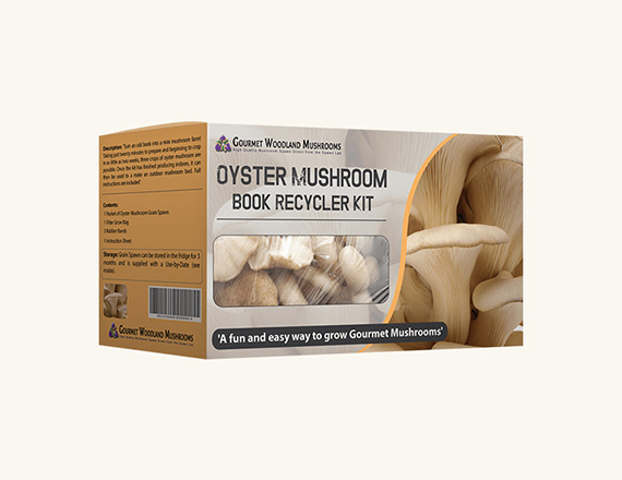wholesale mushroom boxes